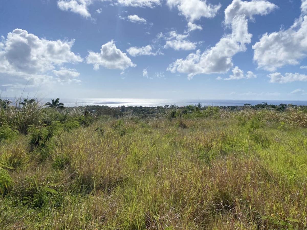 Picture of Home For Sale in Saint James, Barbados, Barbados