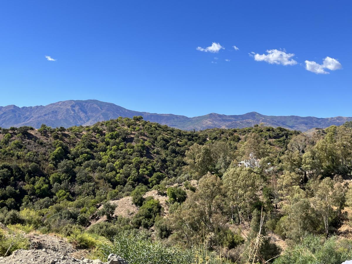 Picture of Residential Land For Sale in Estepona, Malaga, Spain