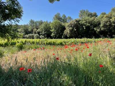 Home For Sale in Cotignac, France