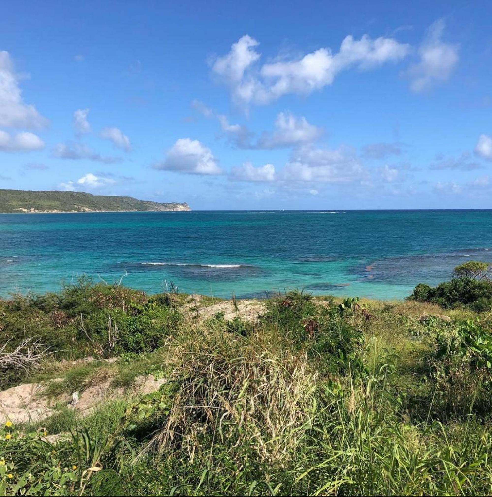 Picture of Mixed-Use Land For Auction in Falmouth Harbour, Saint Paul, Antigua and Barbuda