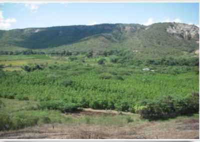 Commercial Land For Sale in Bagua Chica, Peru