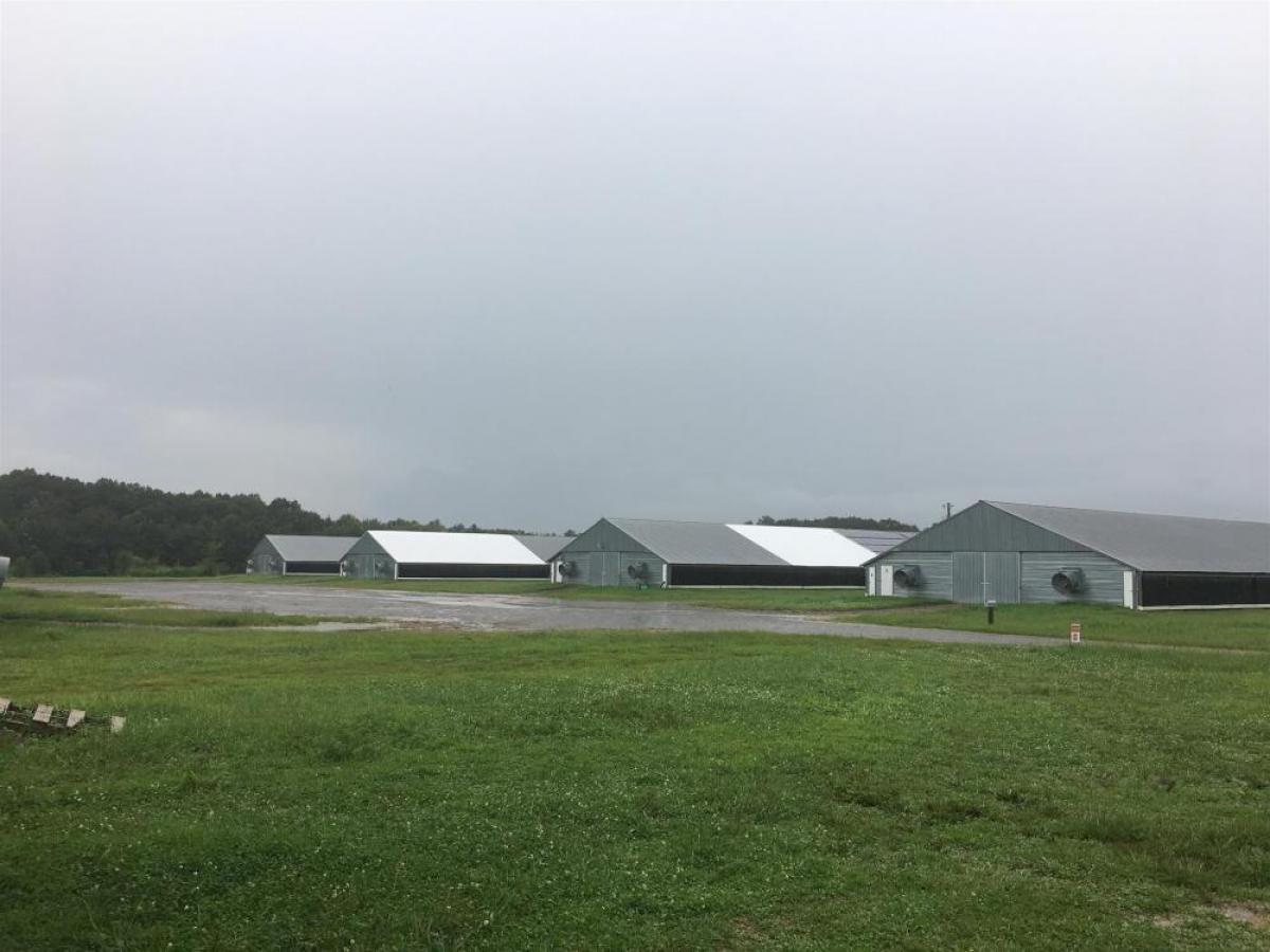 Picture of Farm For Sale in Flintville, Tennessee, United States