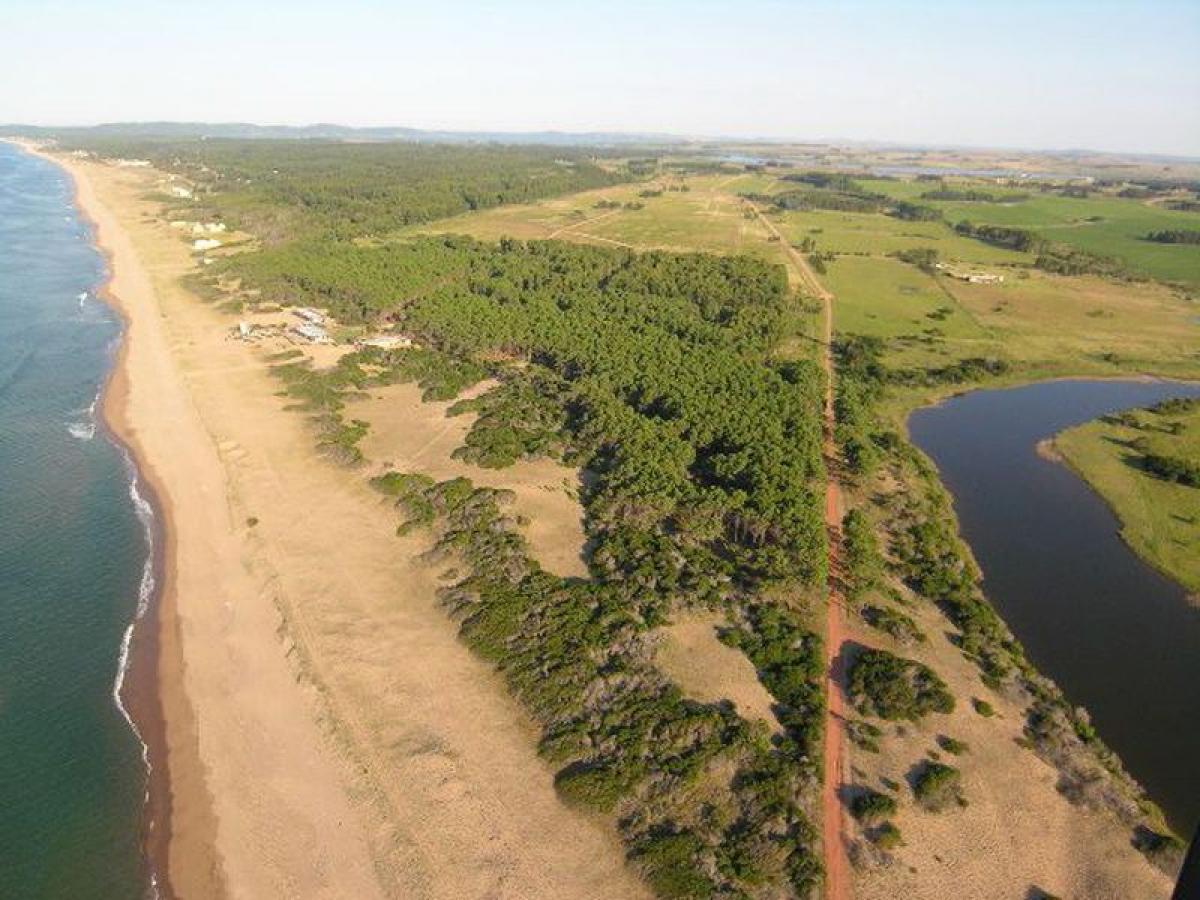 Picture of Residential Land For Sale in Maldonado, Maldonado, Uruguay