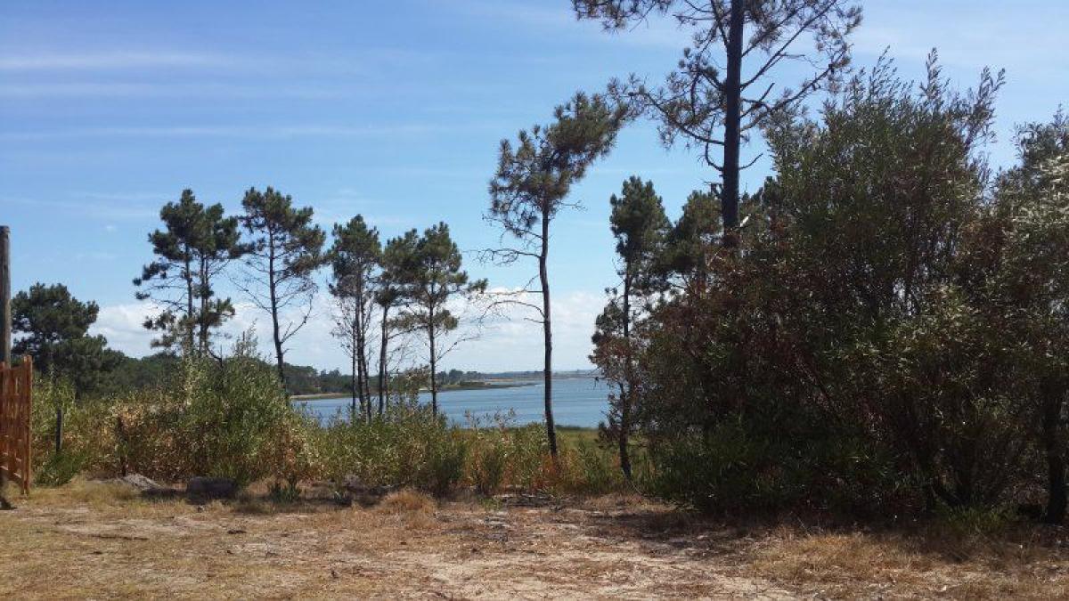 Picture of Residential Land For Sale in Rocha, Rocha, Uruguay