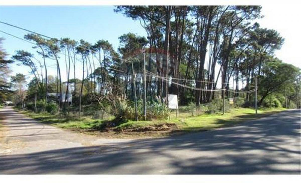 Picture of Warehouse For Sale in Punta Del Este, Maldonado, Uruguay