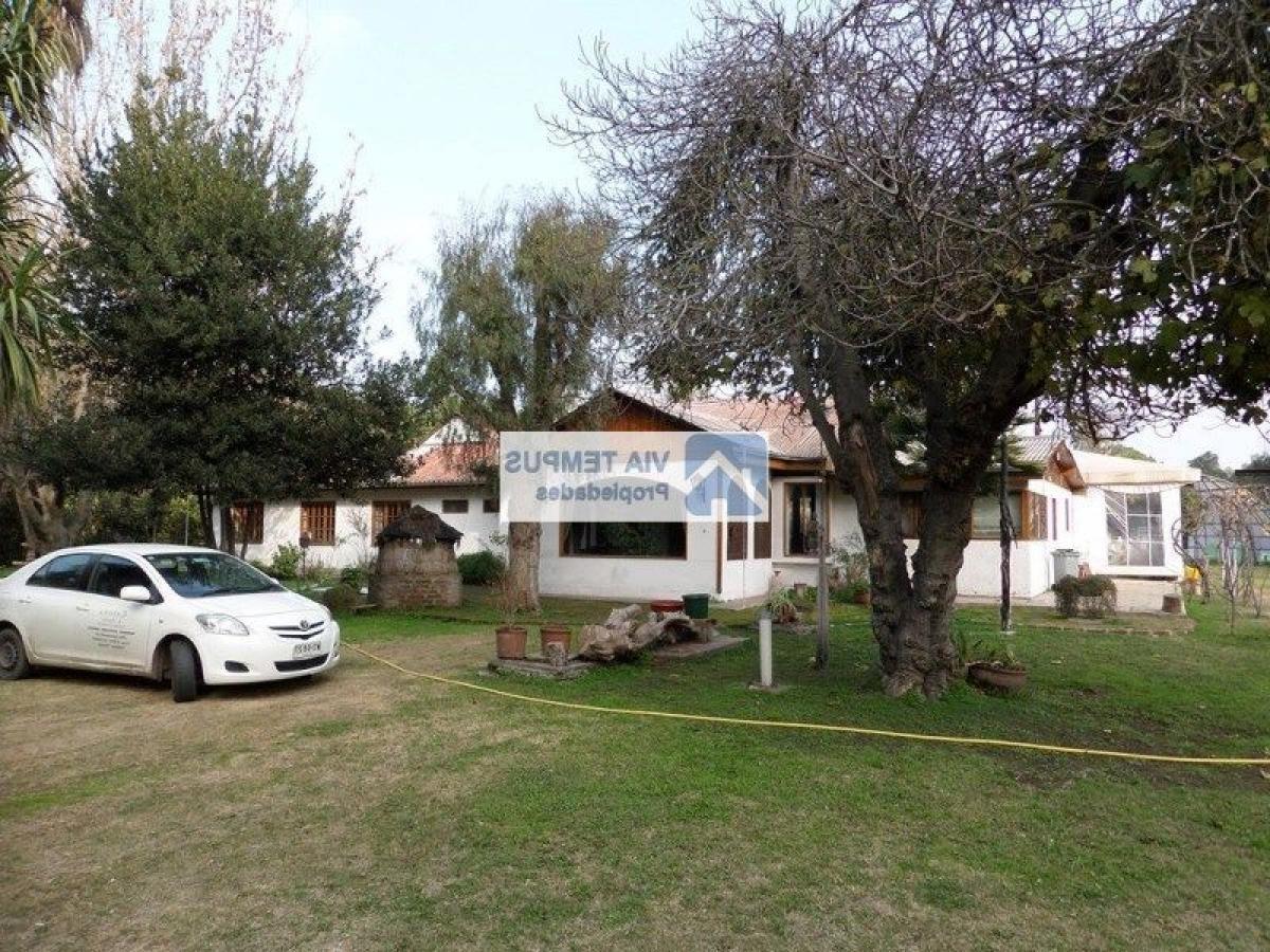 Picture of Other Commercial For Sale in Talagante, Region Metropolitana
, Chile