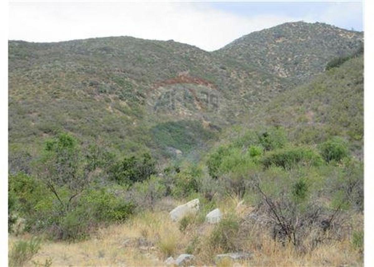 Picture of Residential Land For Sale in Chacabuco, Region Metropolitana
, Chile