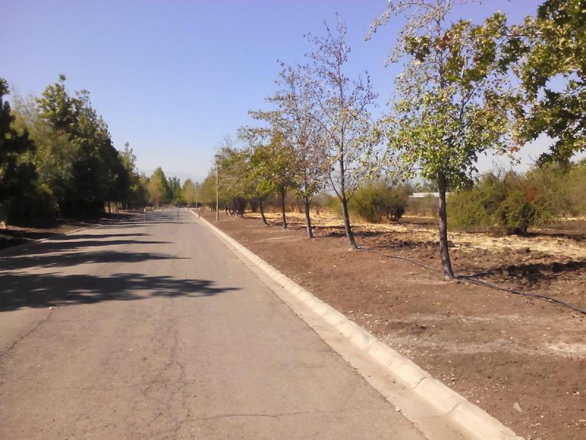 Picture of Residential Land For Sale in Chacabuco, Region Metropolitana
, Chile