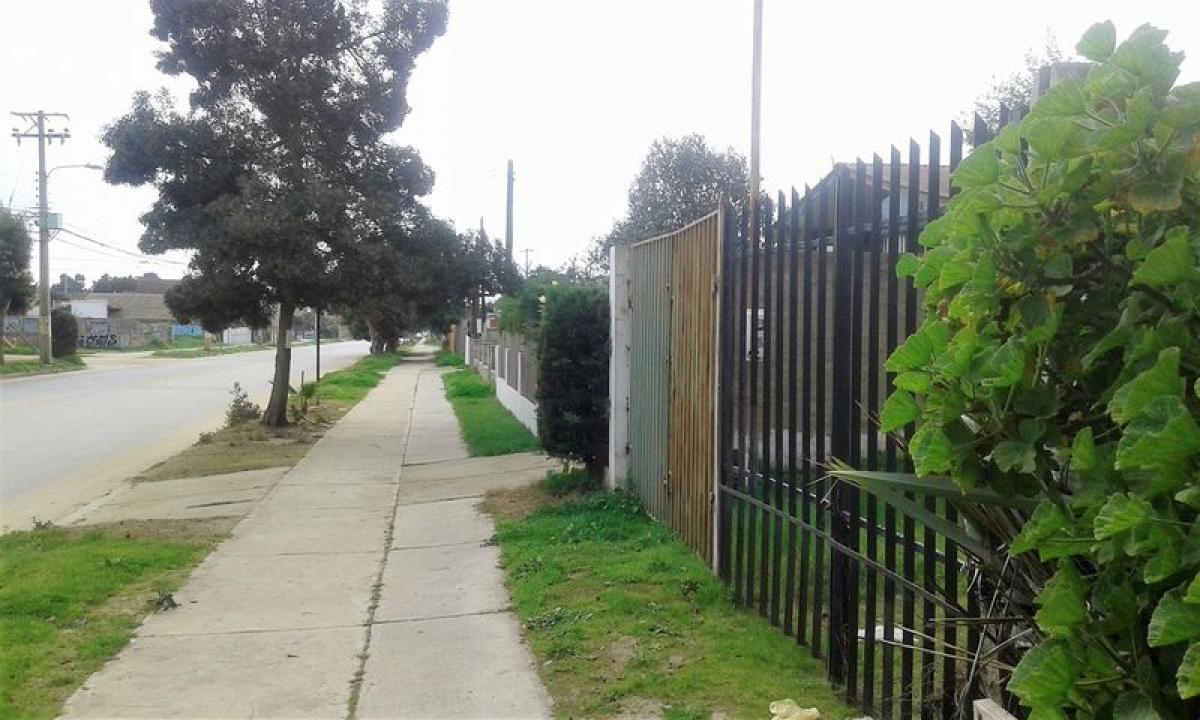 Picture of Residential Land For Sale in Region De Valparaiso, Valparaiso, Chile