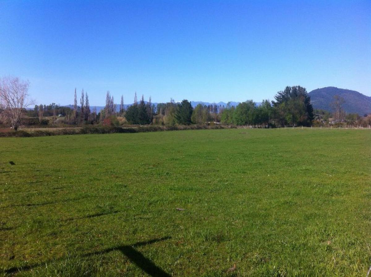 Picture of Residential Land For Sale in Region De Los Rios, Los Rios, Chile