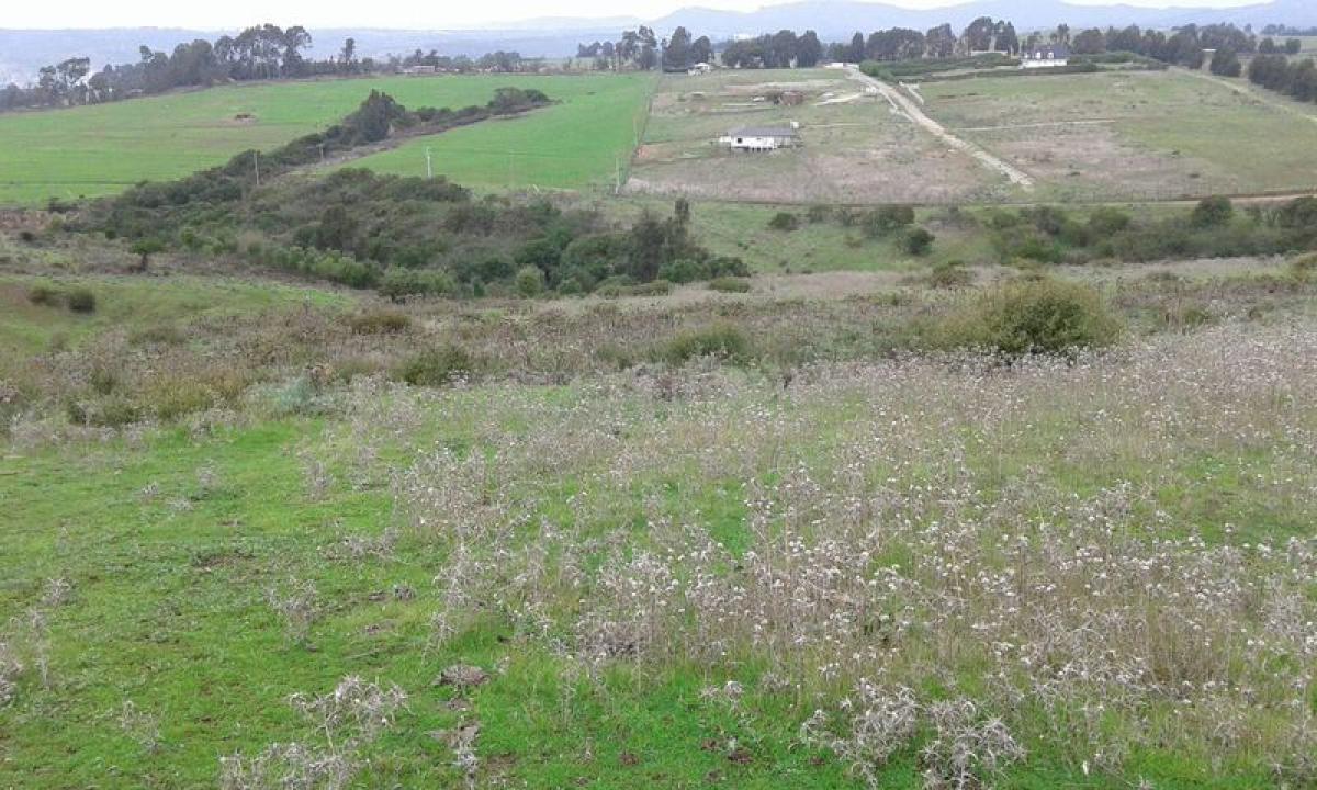 Picture of Residential Land For Sale in Region De Valparaiso, Valparaiso, Chile