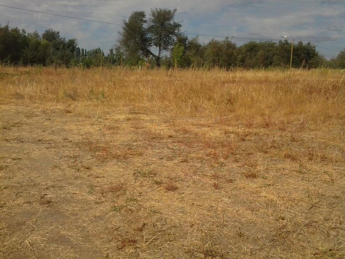 Picture of Residential Land For Sale in Region Del Bio Bio, Bio Bio, Chile