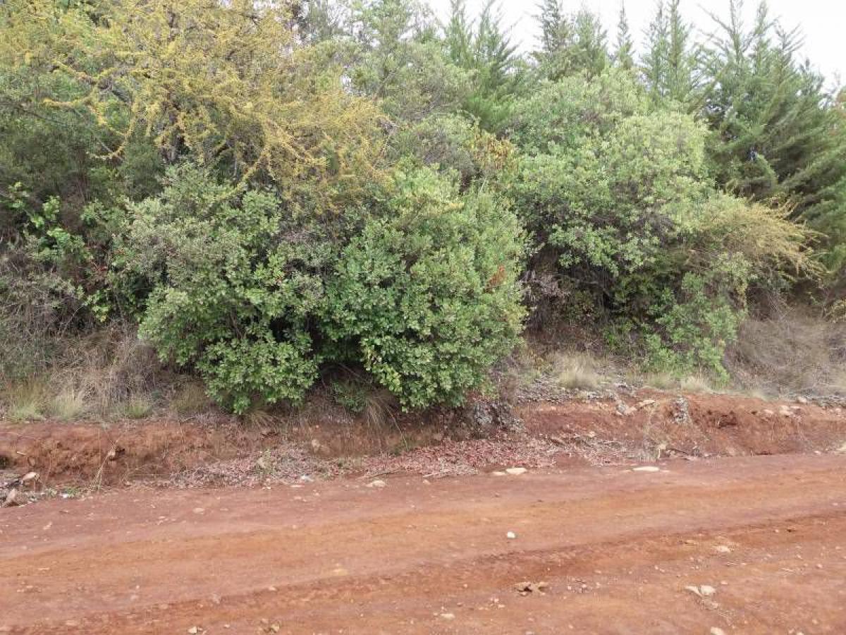 Picture of Residential Land For Sale in Region Del Maule, Maule, Chile