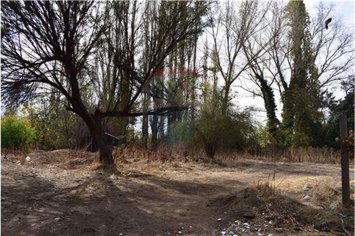 Picture of Residential Land For Sale in Chacabuco, Region Metropolitana
, Chile