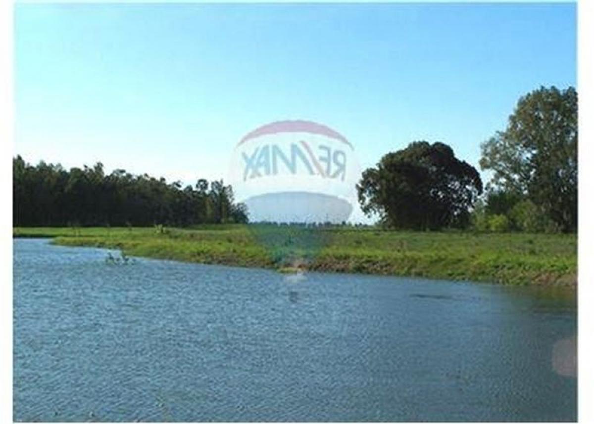 Picture of Residential Land For Sale in Zarate, Buenos Aires, Argentina