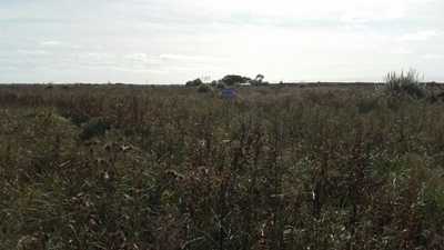 Residential Land For Sale in General Lavalle, Argentina