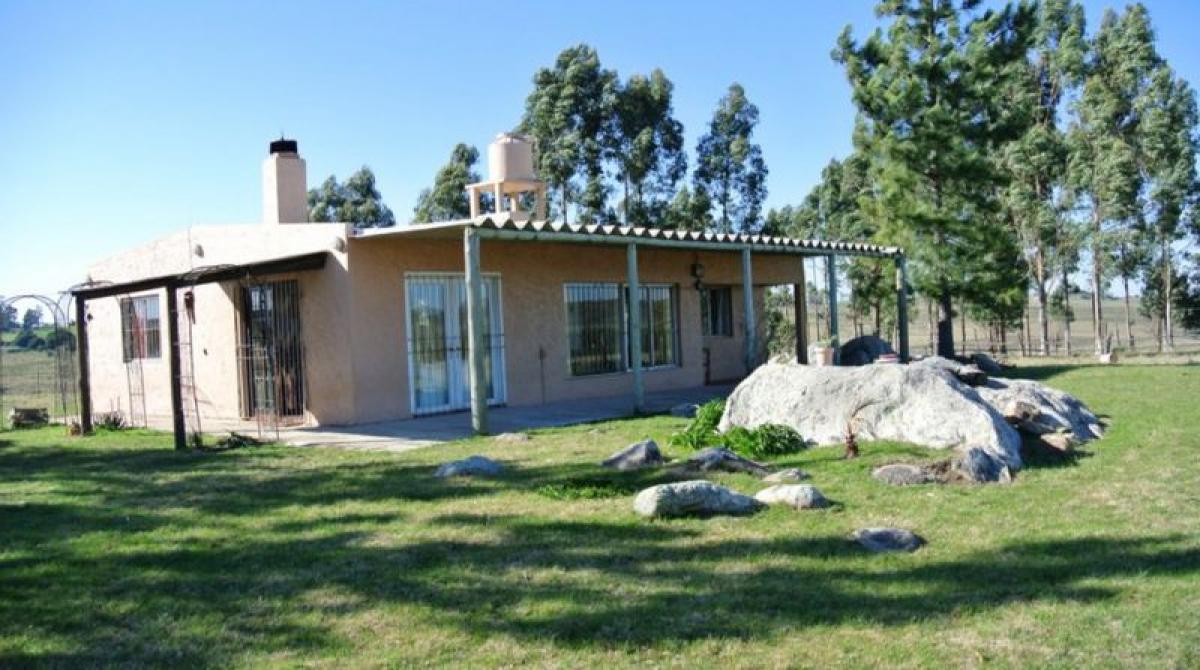 Picture of Farm For Sale in Mendoza, Mendoza, Argentina