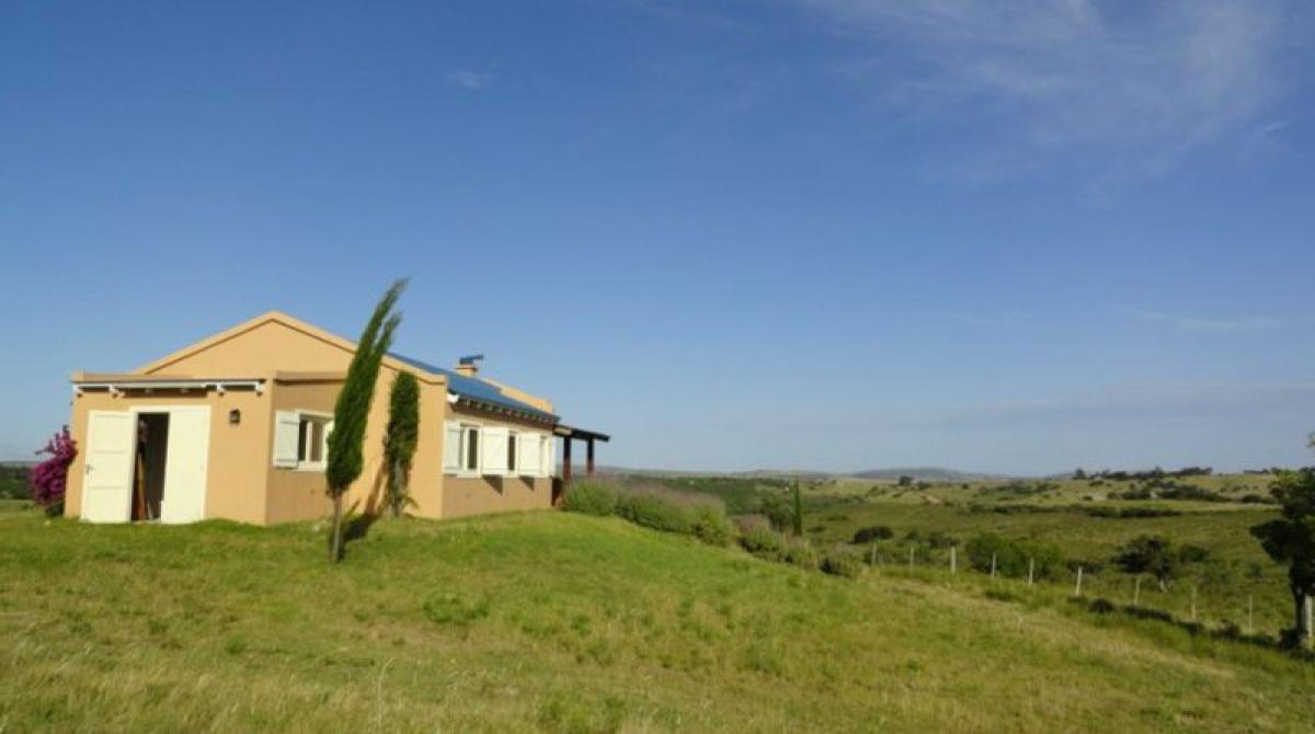 Picture of Farm For Sale in Mendoza, Mendoza, Argentina