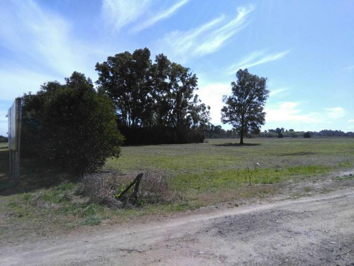 Picture of Residential Land For Sale in Lujan, Buenos Aires, Argentina