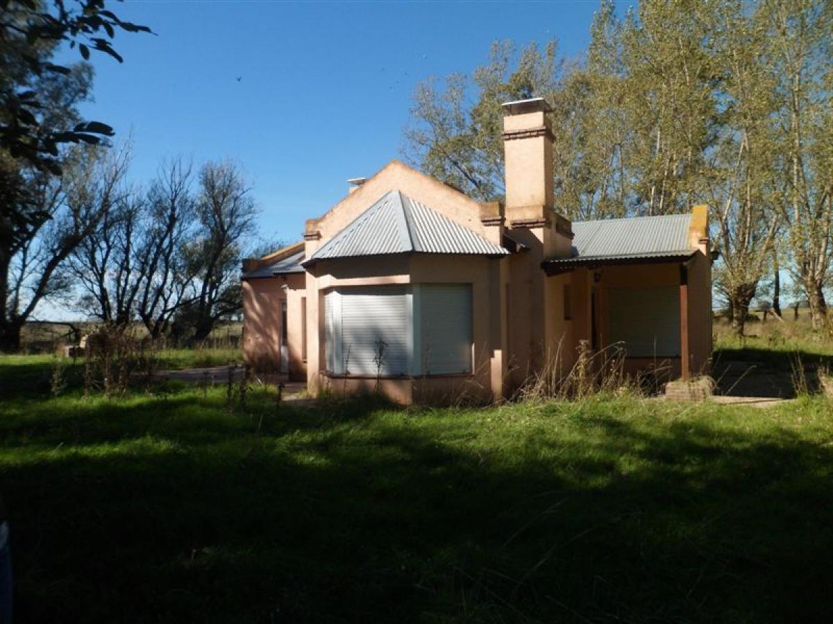 Picture of Farm For Sale in Coronel Suarez, Buenos Aires, Argentina