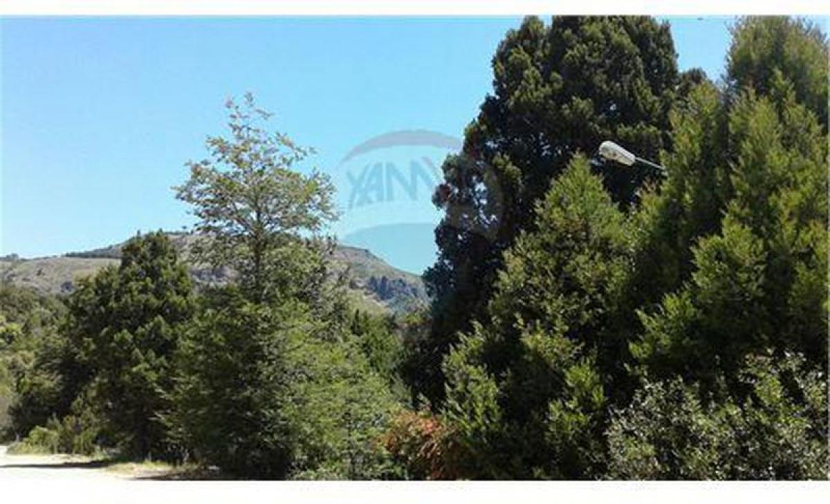 Picture of Residential Land For Sale in Neuquen, Neuquen, Argentina