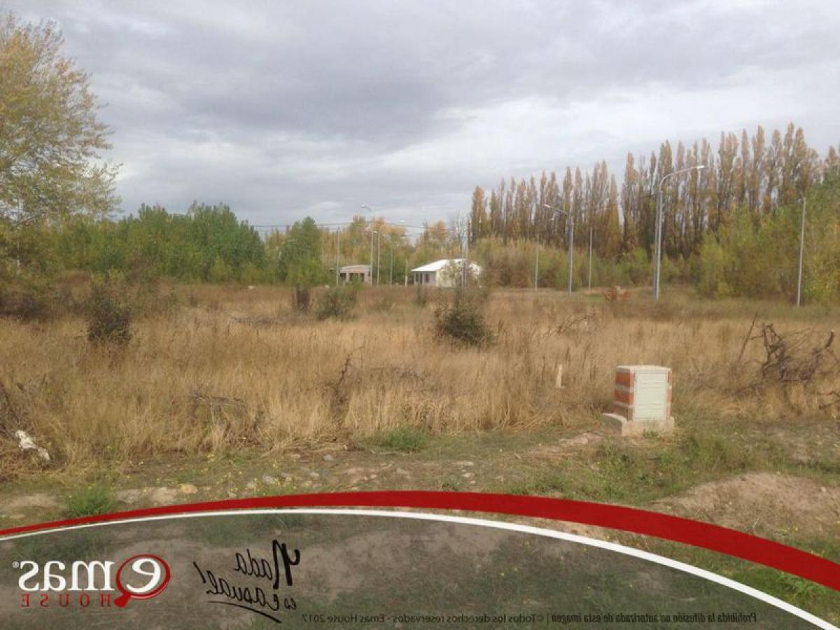 Picture of Residential Land For Sale in Neuquen, Neuquen, Argentina