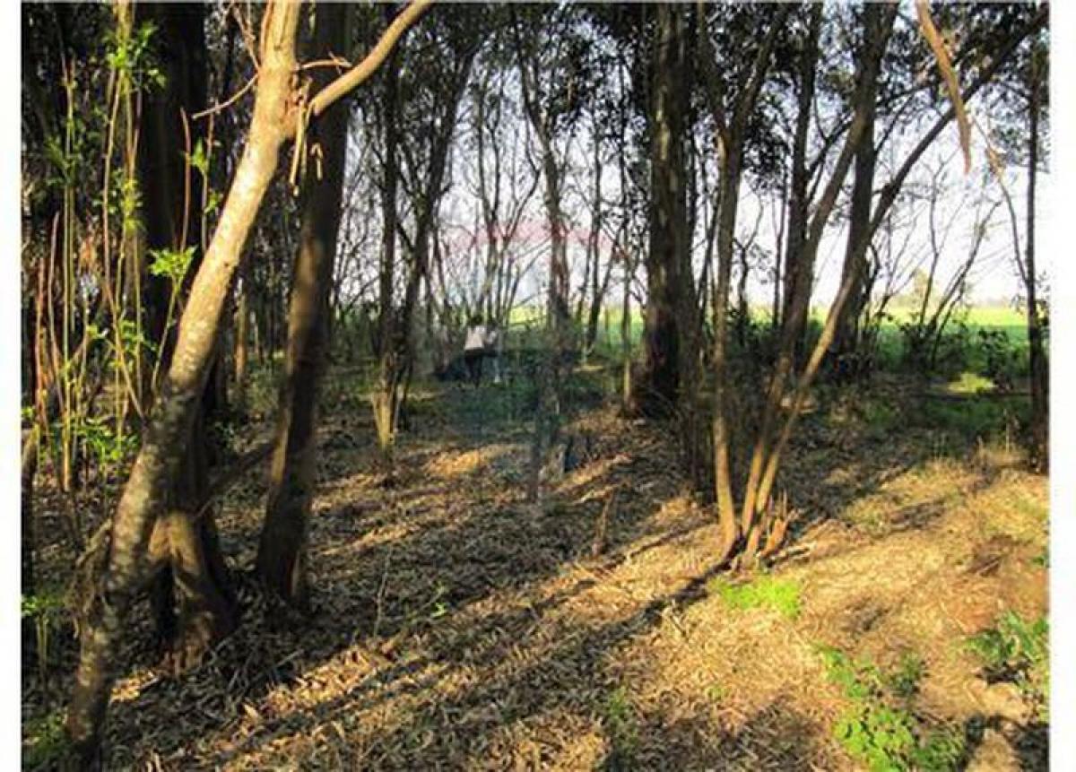 Picture of Residential Land For Sale in Zarate, Buenos Aires, Argentina