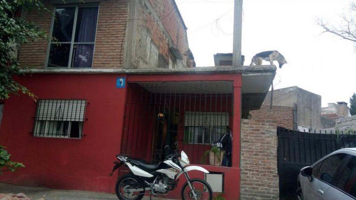 Picture of Other Commercial For Sale in Bs.As. G.B.A. Zona Sur, Buenos Aires, Argentina