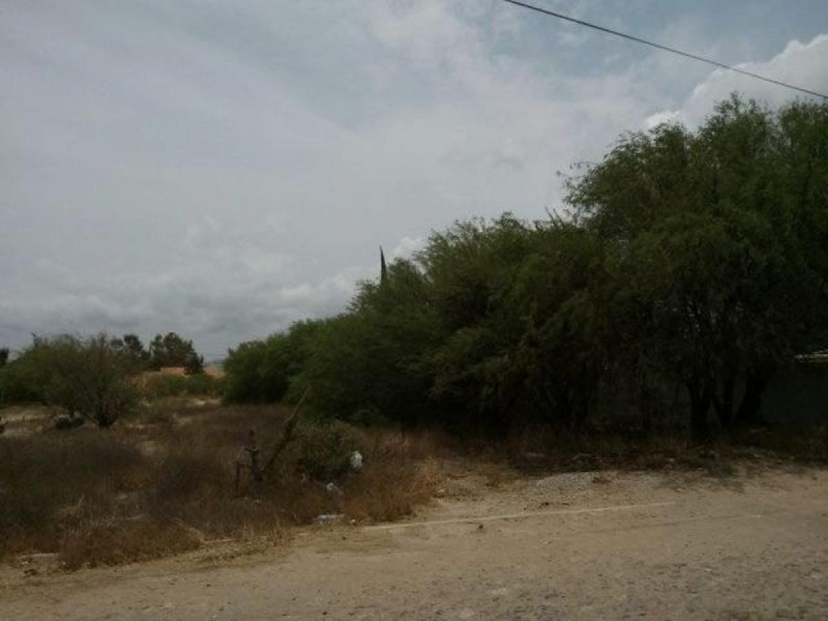 Picture of Residential Land For Sale in Cerro De San Pedro, San Luis Potosi, Mexico