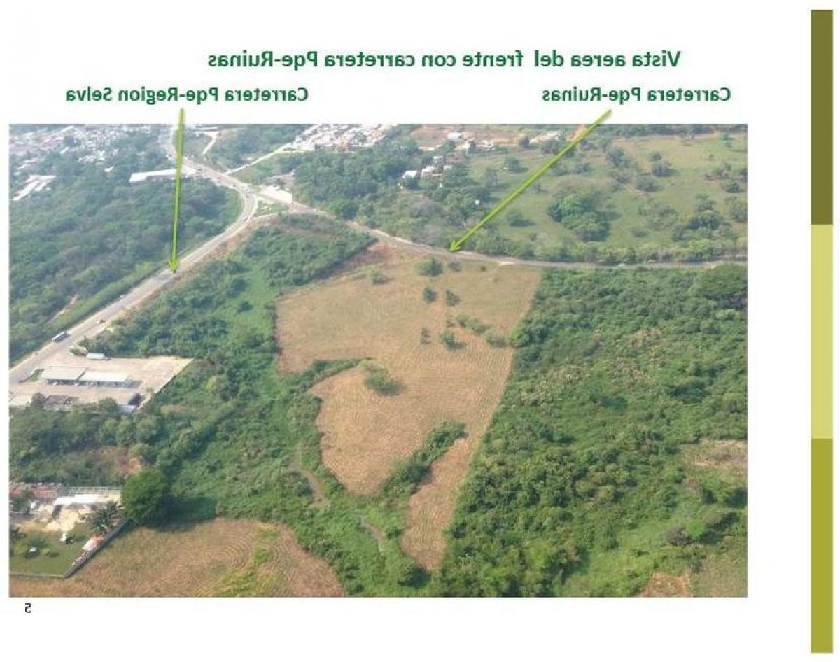 Picture of Residential Land For Sale in Palenque, Chiapas, Mexico