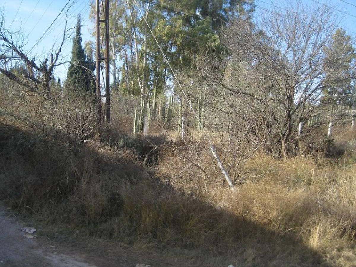 Picture of Residential Land For Sale in Cerro De San Pedro, San Luis Potosi, Mexico