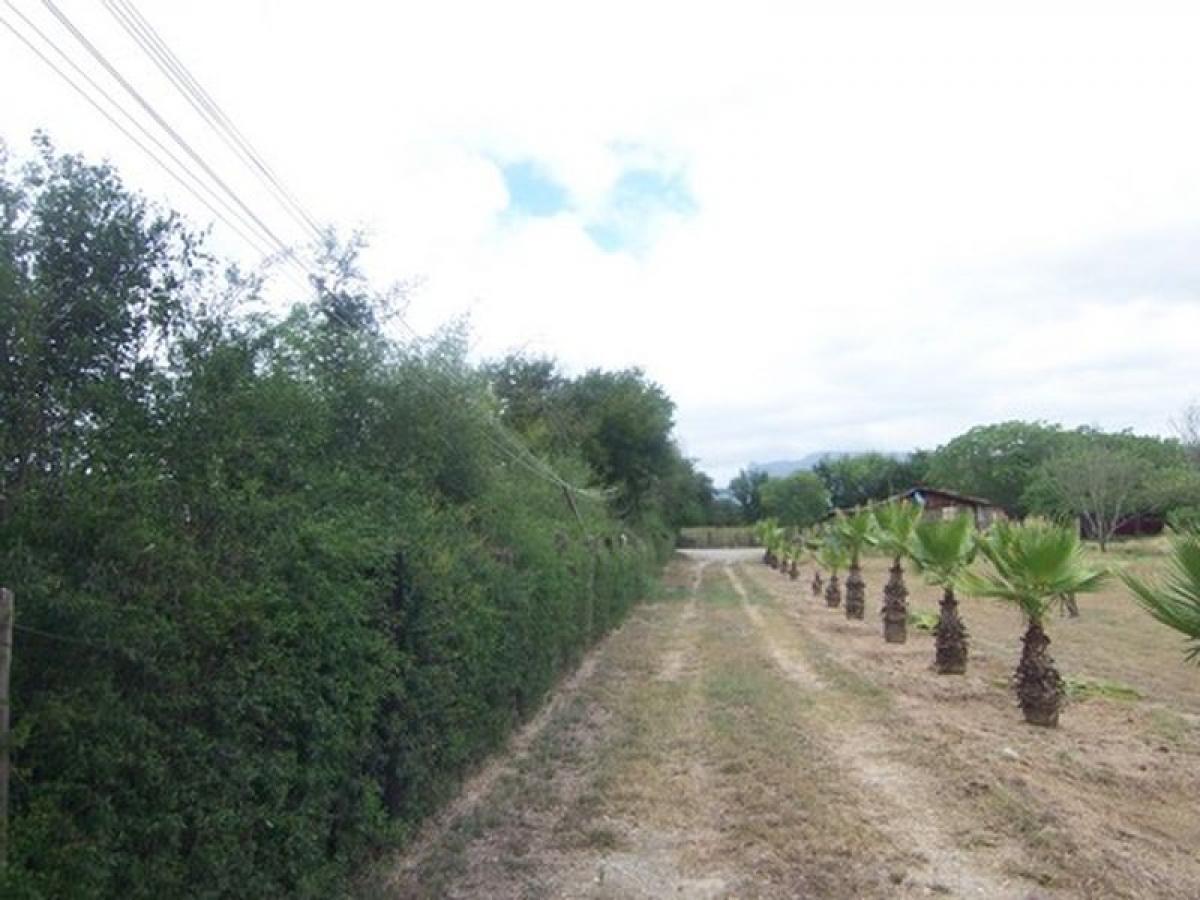 Picture of Development Site For Sale in Nuevo Leon, Nuevo Leon, Mexico