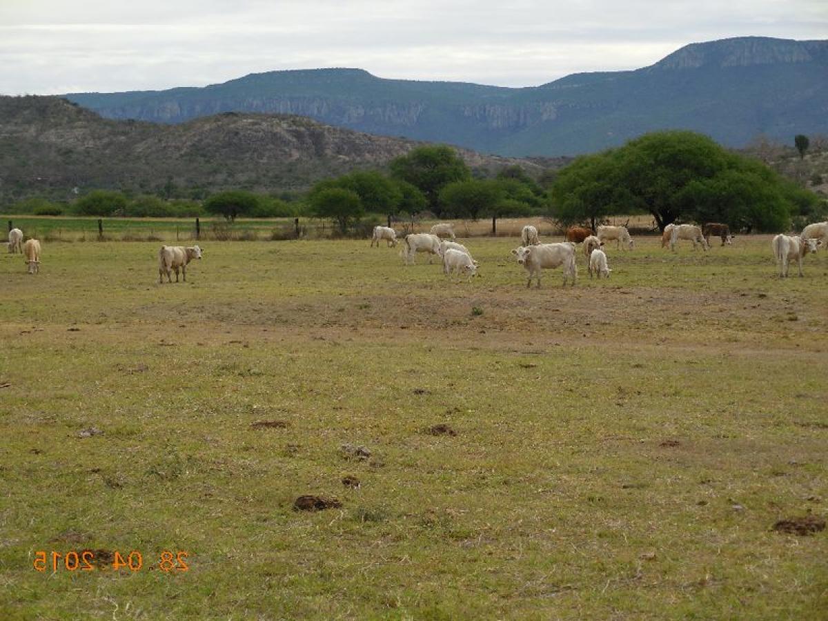 Picture of Development Site For Sale in Zacatecas, Zacatecas, Mexico