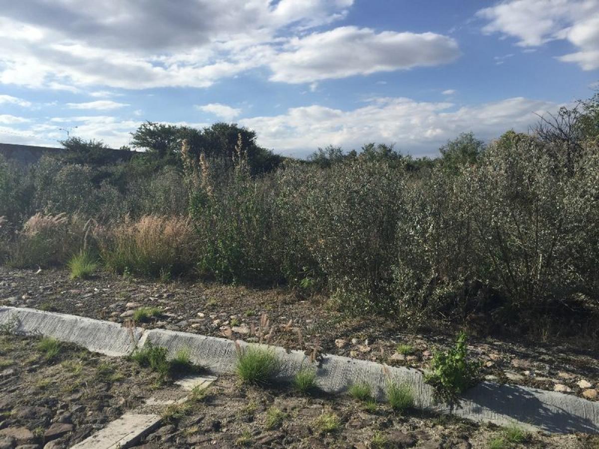 Picture of Residential Land For Sale in Union De San Antonio, Jalisco, Mexico