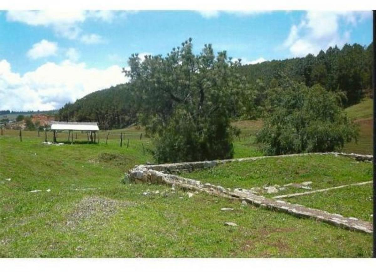 Picture of Residential Land For Sale in Tapalpa, Jalisco, Mexico