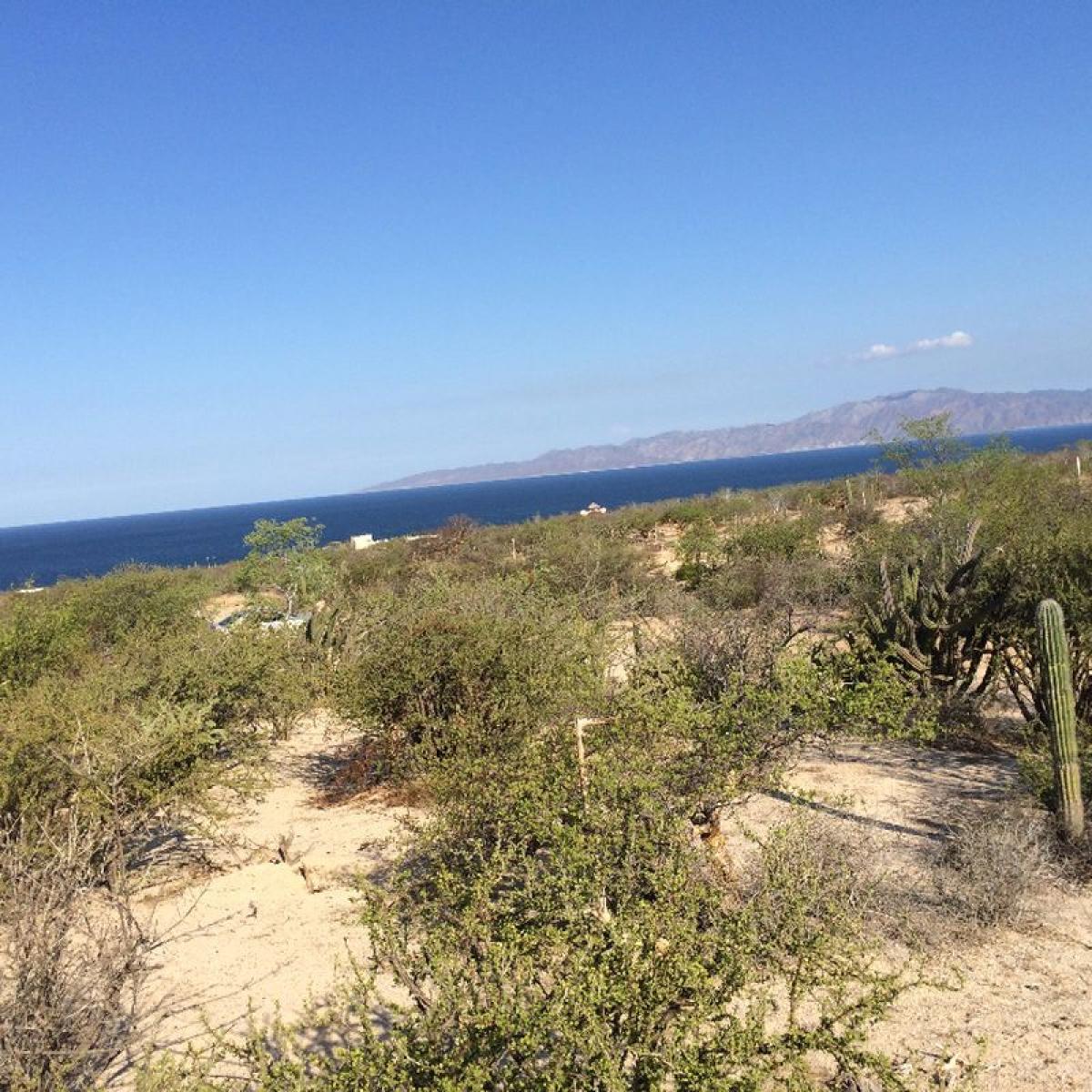 Picture of Residential Land For Sale in Baja California Sur, Baja California Sur, Mexico