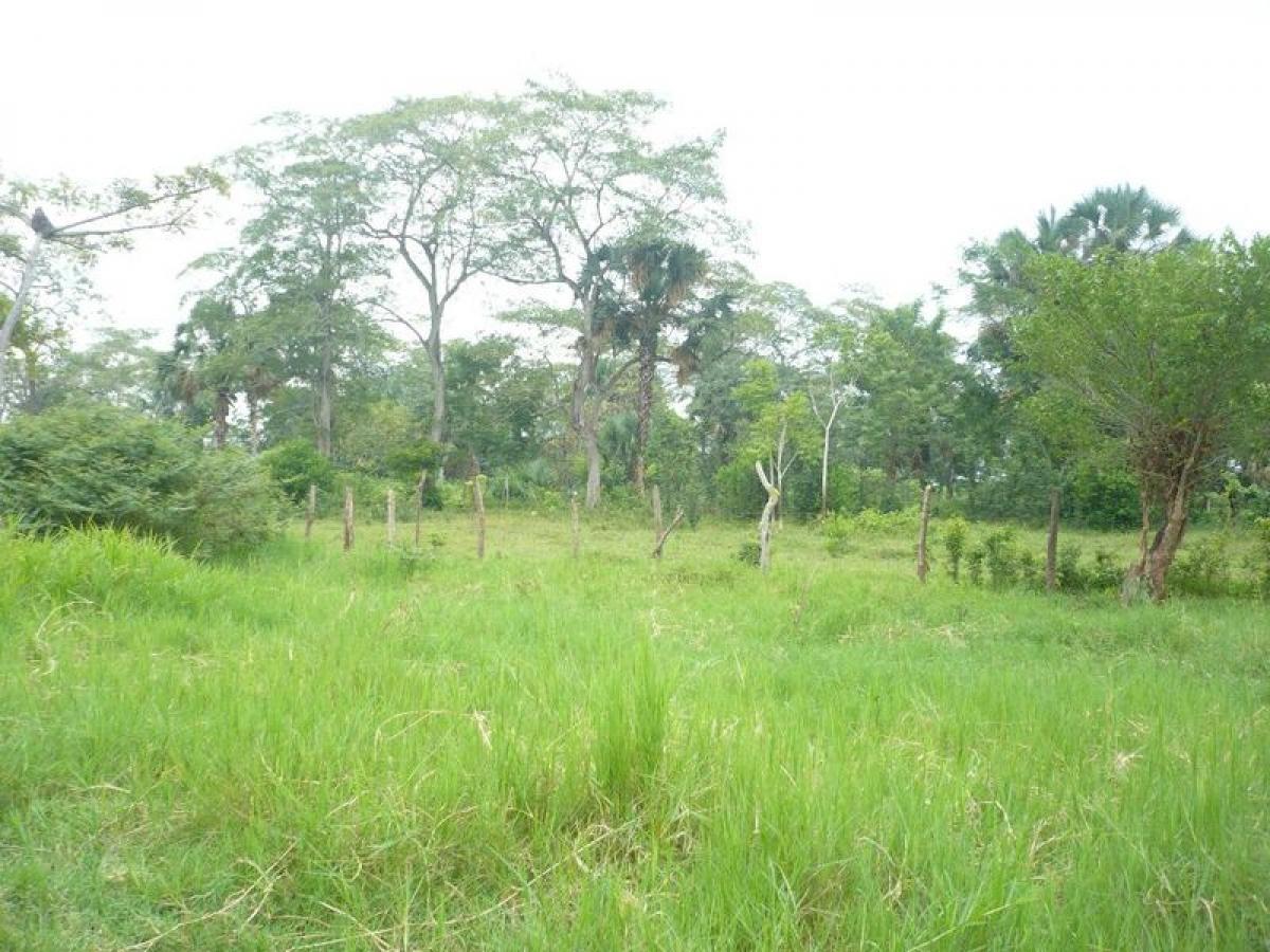 Picture of Residential Land For Sale in Nacajuca, Tabasco, Mexico