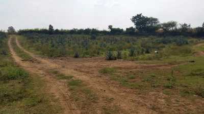 Residential Land For Sale in Tala, Mexico