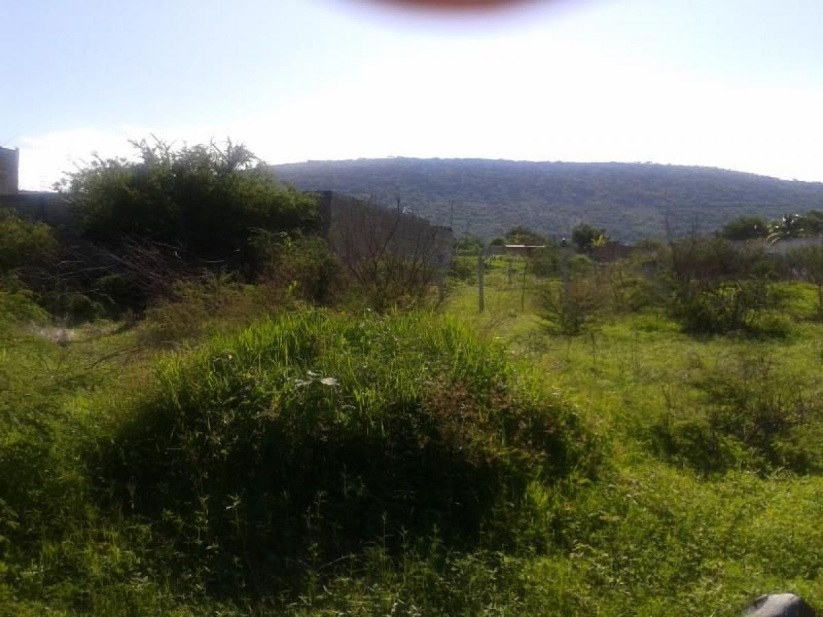 Picture of Residential Land For Sale in Jojutla, Morelos, Mexico