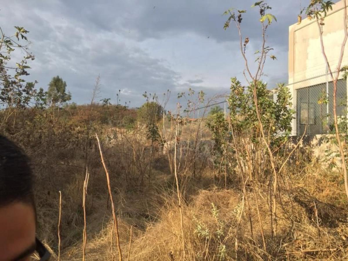 Picture of Residential Land For Sale in Tala, Jalisco, Mexico