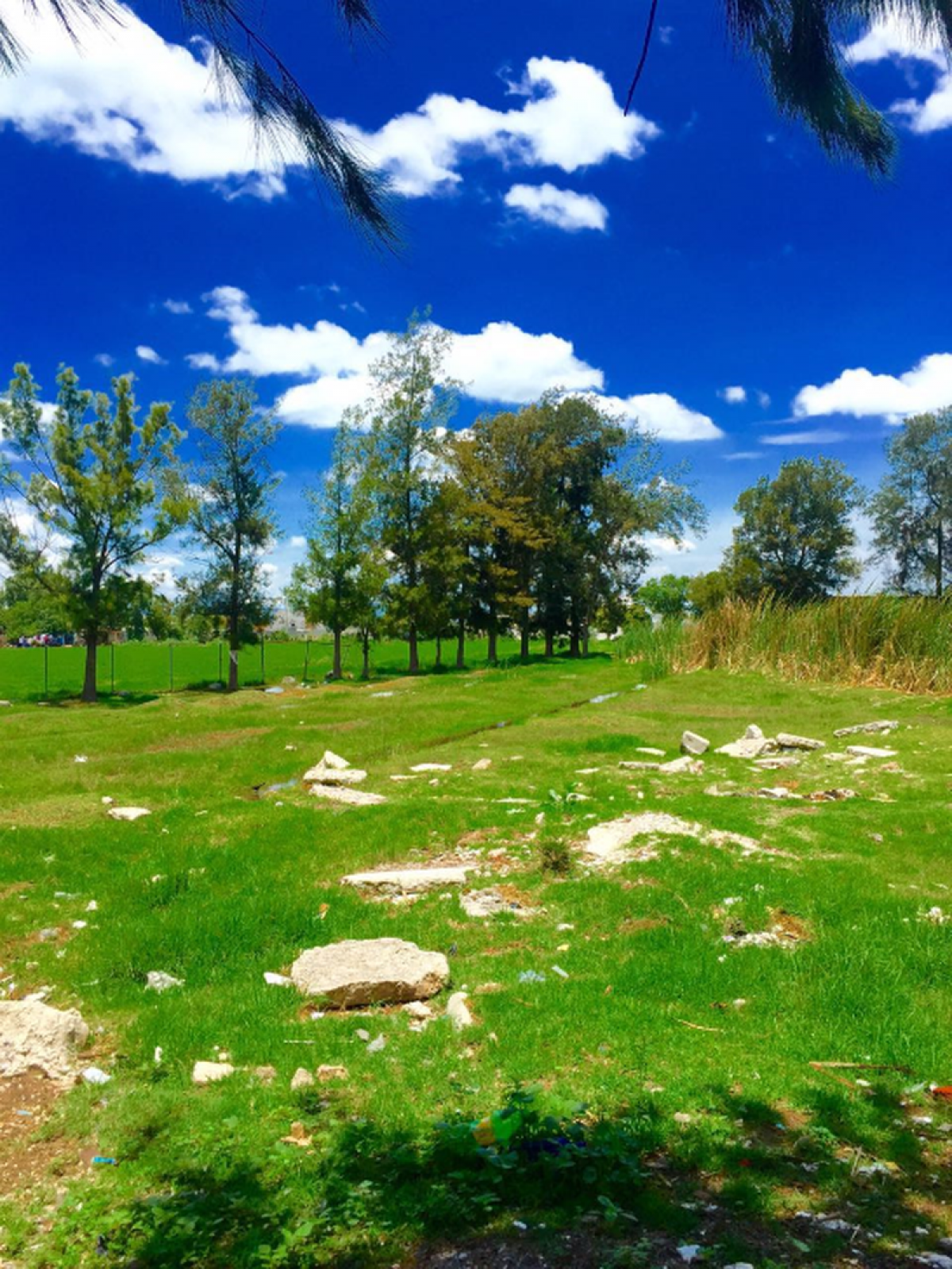 Picture of Residential Land For Sale in Tlaxcoapan, Hidalgo, Mexico