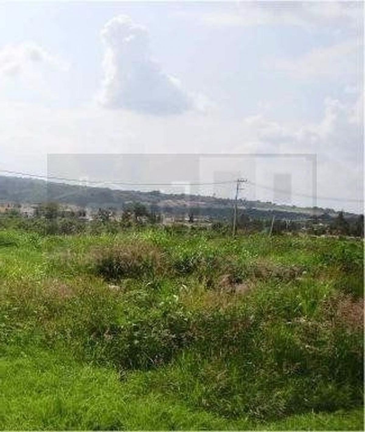 Picture of Residential Land For Sale in Tala, Jalisco, Mexico