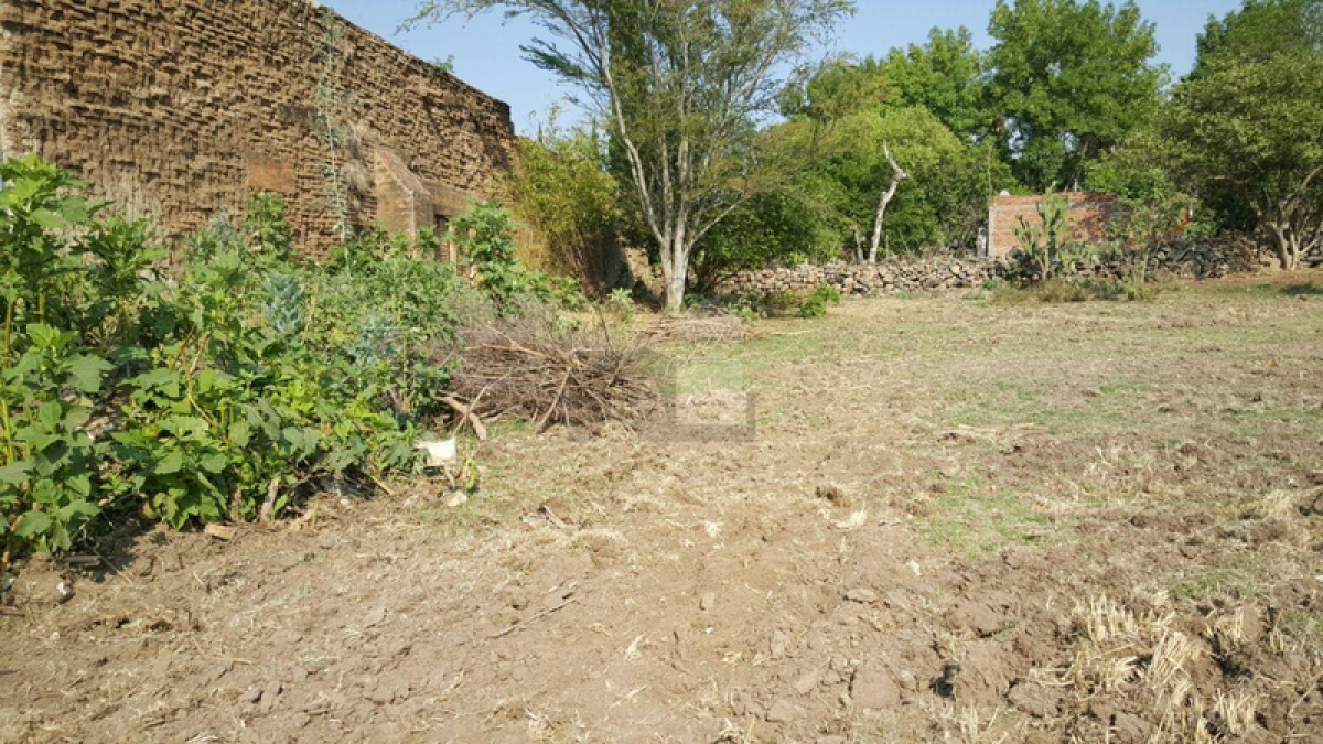 Picture of Residential Land For Sale in Tala, Jalisco, Mexico