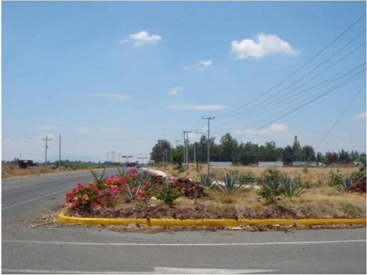 Picture of Residential Land For Sale in Tala, Jalisco, Mexico