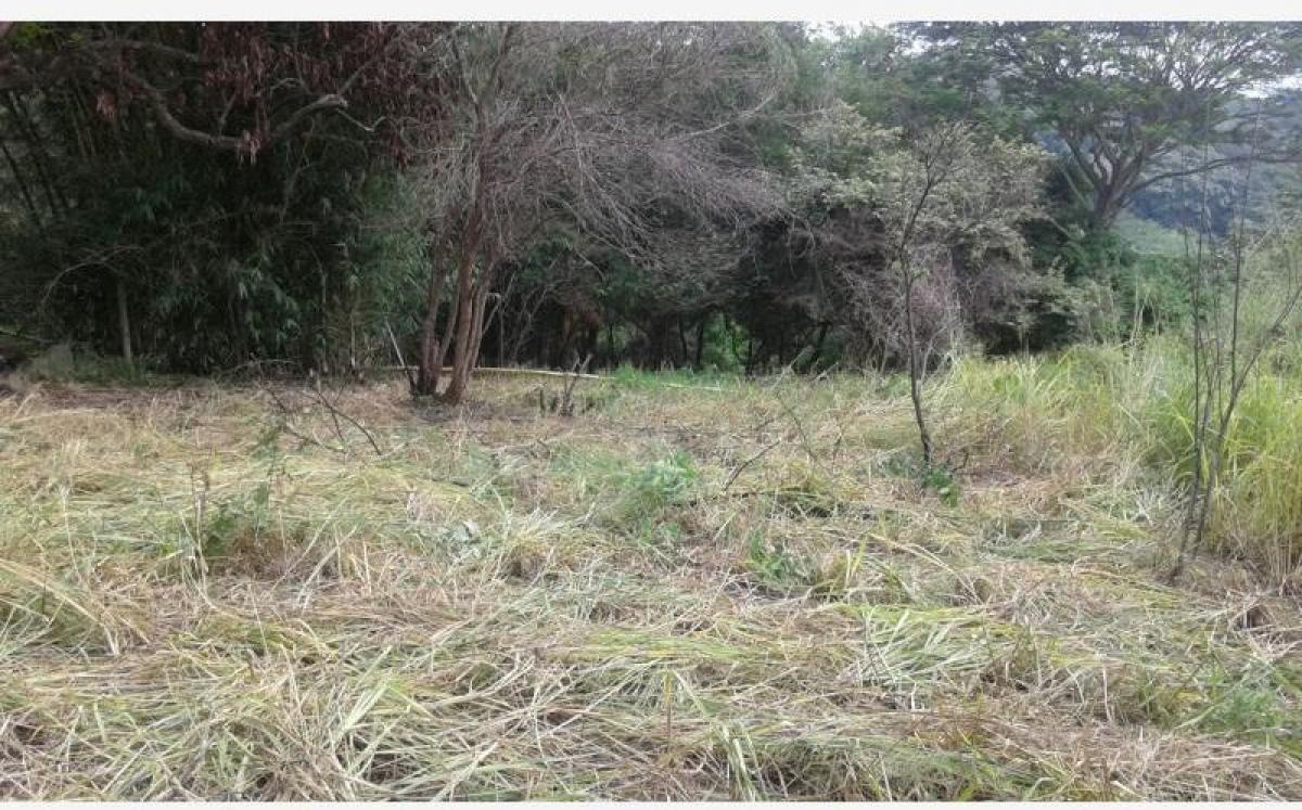 Picture of Residential Land For Sale in Comala, Colima, Mexico