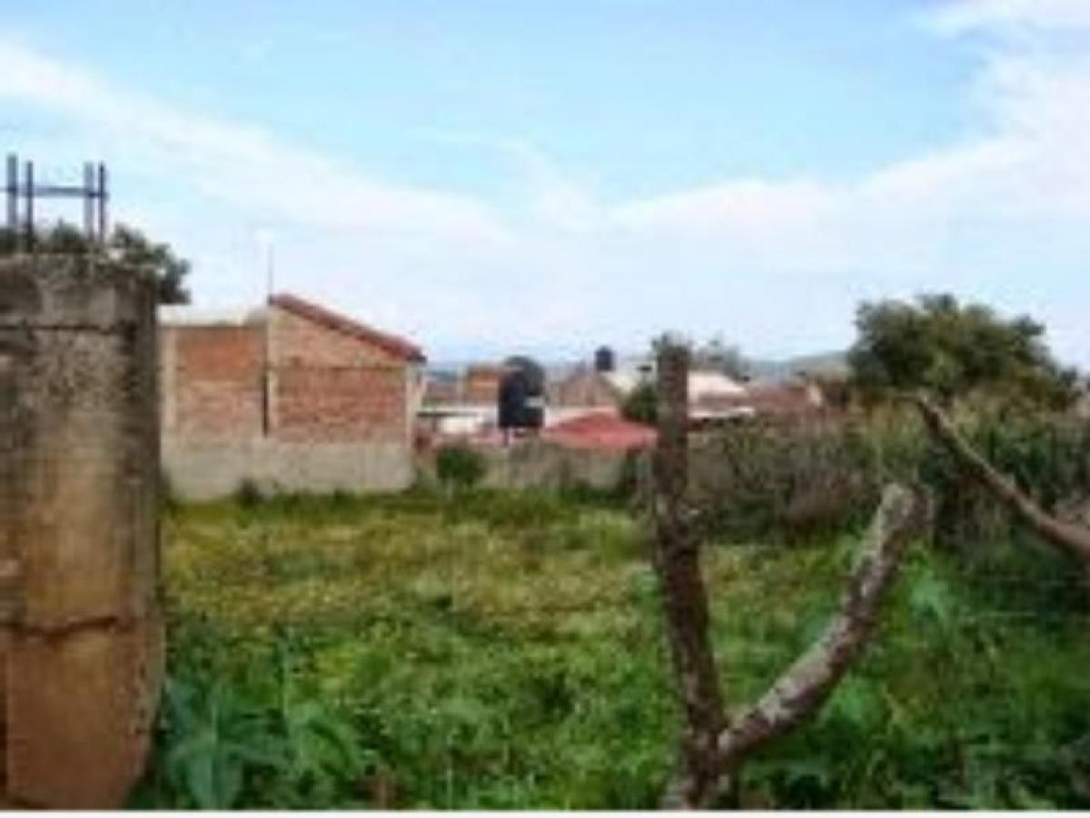 Picture of Residential Land For Sale in Mazamitla, Jalisco, Mexico