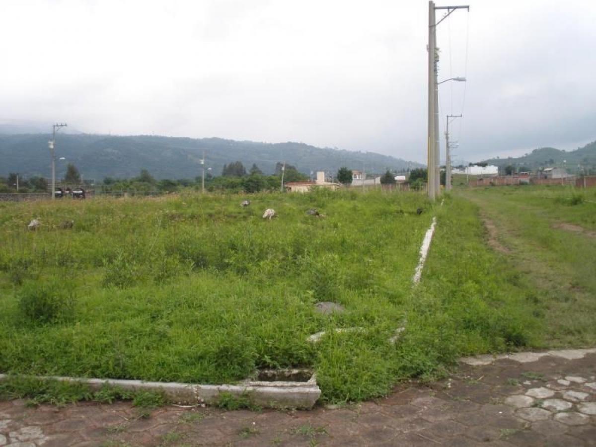 Picture of Residential Land For Sale in Atlatlahucan, Morelos, Mexico