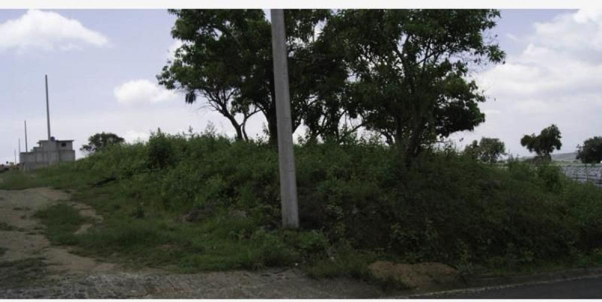 Picture of Residential Land For Sale in Atlatlahucan, Morelos, Mexico