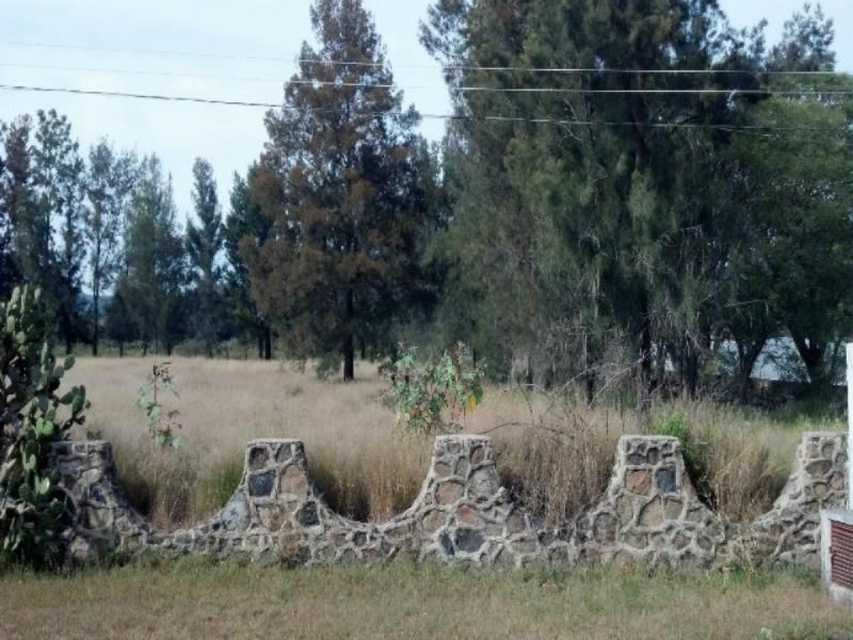 Picture of Residential Land For Sale in Tala, Jalisco, Mexico