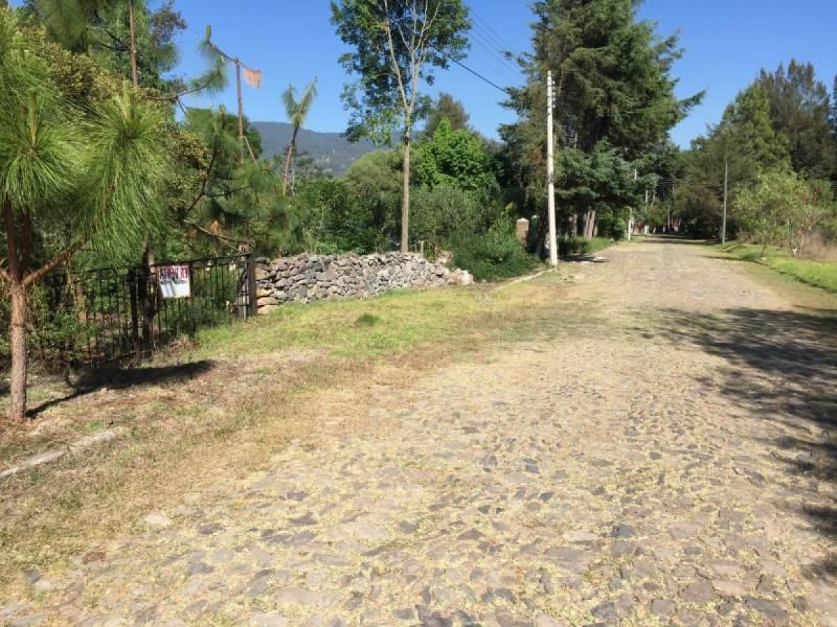 Picture of Residential Land For Sale in Tapalpa, Jalisco, Mexico